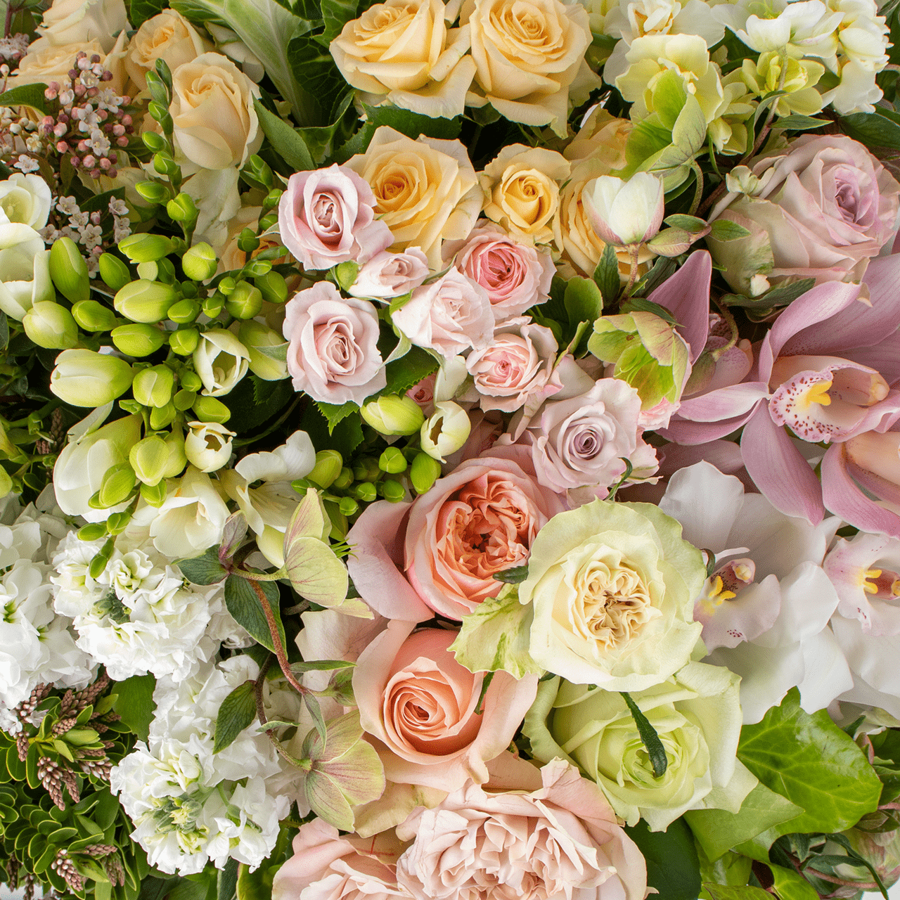 Florists Choice - Soft & Pretty Colour Palett
